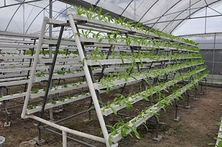 vertical hydroponic tube