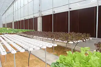 hydroponic channels nft pvc channel greenhouse hydroponic nft hydroponics nft channel upvc complete hydroponic nft channel grow