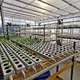 PVC Hydroponic NFT