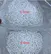 perlite for hydroponic