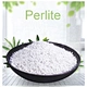 bulk expanded perlite