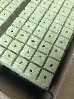 hydroponic farming use rockwool cubes