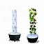 hydroponic growing system