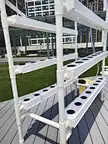 mini NFT growing kit