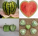 watermelon Shaping Mold