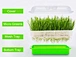 plastic flat tray for spourt