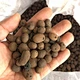 clay pebbles