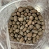 Expanded Clay Balls
