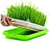 plastic flat tray for spourt