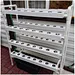 mini NFT growing kit