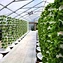 Aeroponic indoor tower kit