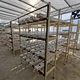 Hydroponics Growing Kit