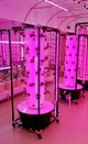 Hydroponic Farming System