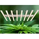 Growing Light For Medical Weeds