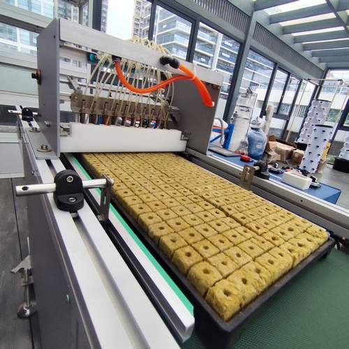 G AND N FORTUNE LIMITED’s hydroponic equipment has power seeding machine.