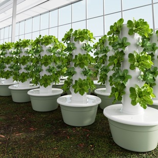 19.Elevate your gardening game with G AND N FORTUNE LIMITED’s garden tower hydroponic solutions.