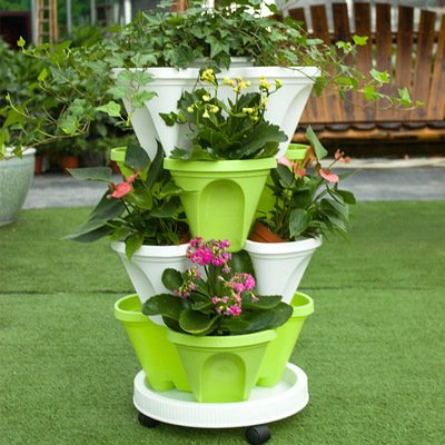Centerpiece Flower Pot by G AND N FORTUNE LIMITED adds charm to your hydroponic garden.