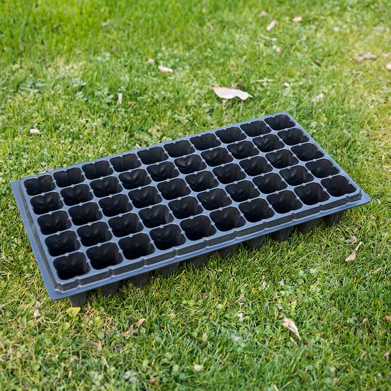 G AND N FORTUNE LIMITED’s covered seed starter trays offer a controlled environment for hydroponic seedlings.