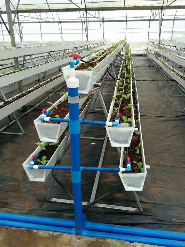 G AND N FORTUNE LIMITED's vertical growing system for hydroponics.