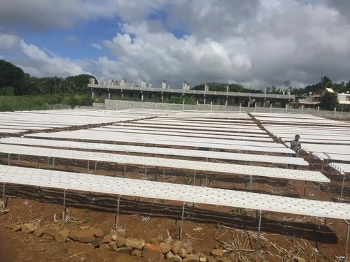 G AND N FORTUNE LIMITED provides durable hydroponic systems for commercial and home use.  