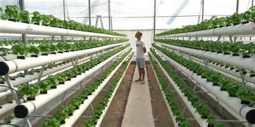 G AND N FORTUNE LIMITED’s customizable growing system optimized for hydroponics.