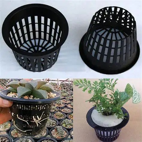 G AND N FORTUNE LIMITED's planting pots for hydroponics.