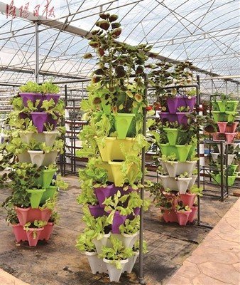 Outdoor Tall Flower Pots by G AND N FORTUNE LIMITED are ideal for hydroponic systems.