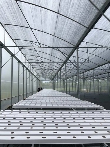 G AND N FORTUNE LIMITED's hydroponic system grow for hydroponic applications.
