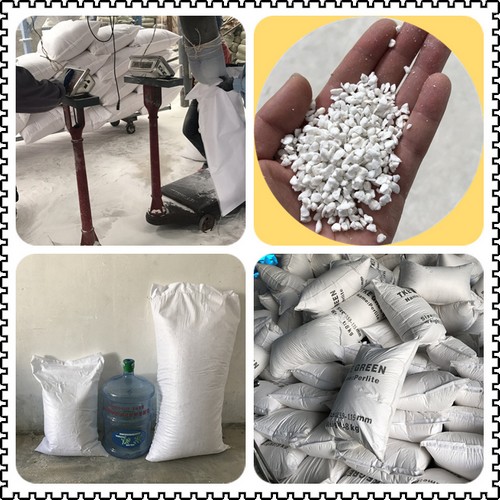 G AND N FORTUNE LIMITED's hydroponic equipment for perlite potting.