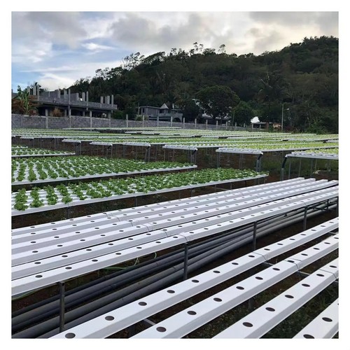  G AND N FORTUNE LIMITED’s automated grow system ensures consistent plant care.