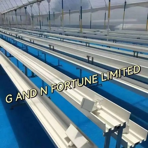 G AND N FORTUNE LIMITED's compact hydroponics indoor growing system shoe bo