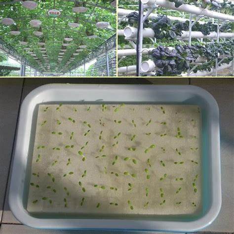G AND N FORTUNE LIMITED's sponge used for hydroponics: practical hydroponic aid.
