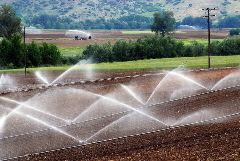Hdpe irrigation pipe by G AND N FORTUNE LIMITED, for durable hydroponics.