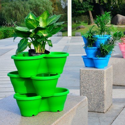 10 Gallon Flower Pot by G AND N FORTUNE LIMITED is perfect for large hydroponic systems.