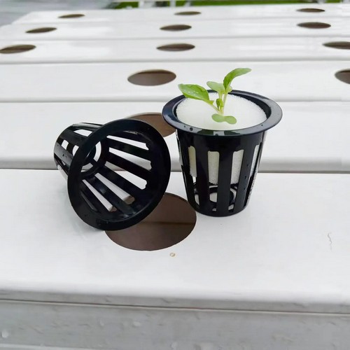 G AND N FORTUNE LIMITED offers 4 inch net pots for hydro.