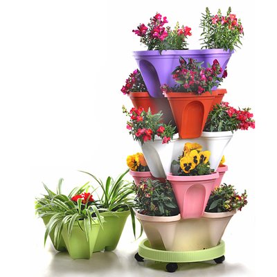 Flower Potting with G AND N FORTUNE LIMITED makes hydroponic planting simple and easy.