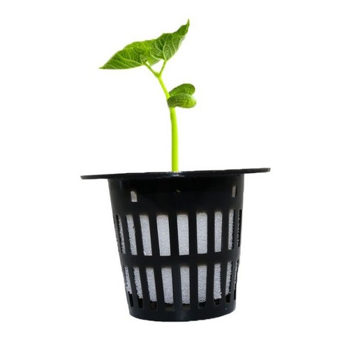 G AND N FORTUNE LIMITED's grow sponges hydroponic: hydroponic growing gear.