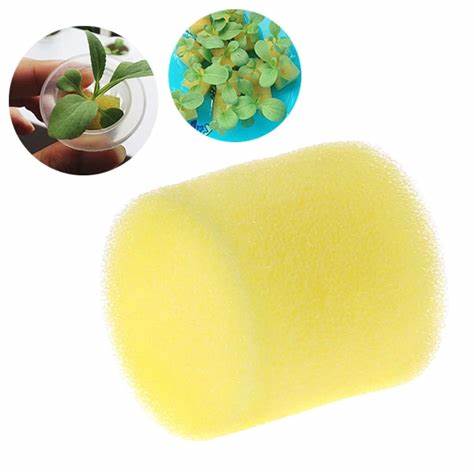 G AND N FORTUNE LIMITED's using sponges for hydroponics: effective hydroponic method gear.