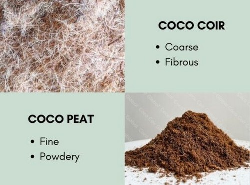  G AND N FORTUNE LIMITED's cocopeat online flipkart for hydro.