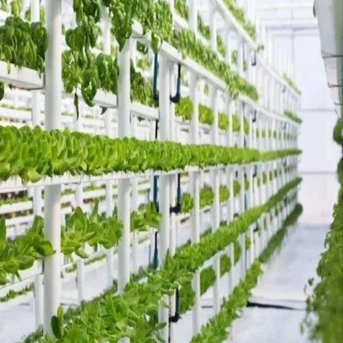 G&N’s grow light systems for seedlings boost hydro sprouts.