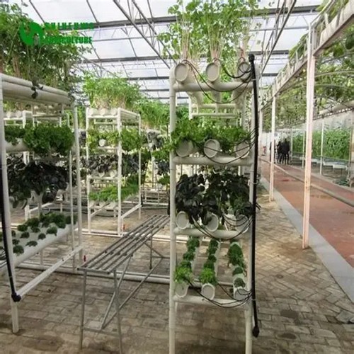 11.G AND N FORTUNE LIMITED's HID kit supports hydroponic lighting needs.