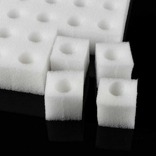 G AND N FORTUNE LIMITED's growing in a sponge for hydro.