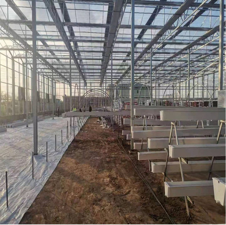 Automated grow system from G AND N FORTUNE LIMITED.