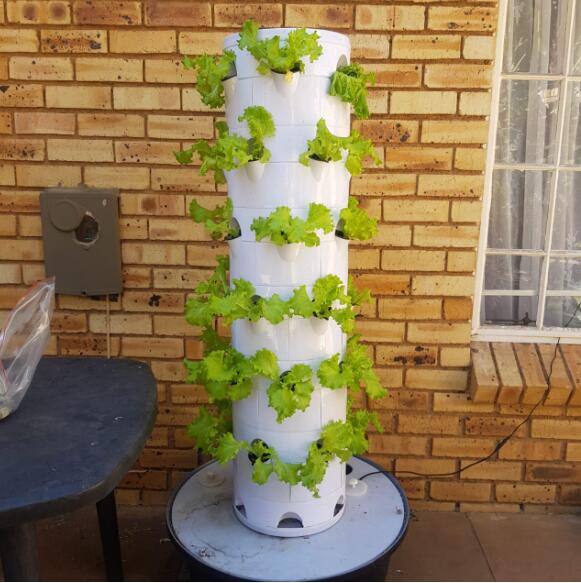 10.G AND N FORTUNE LIMITED's hydroponic tower plants are designed to thrive in vertical farming environments.