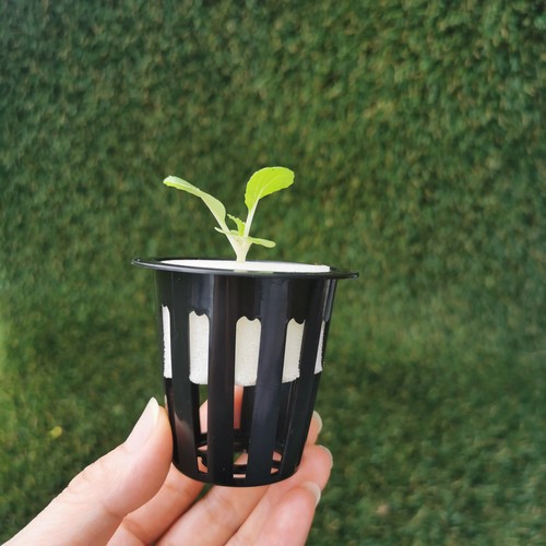 G AND N FORTUNE LIMITED's hydroponic net pot for you.