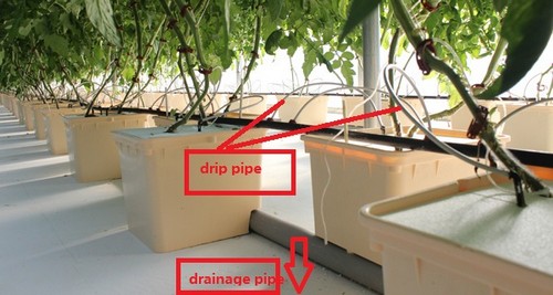 G AND N FORTUNE LIMITED's dutch bucket hydroponic: hydro equipment.