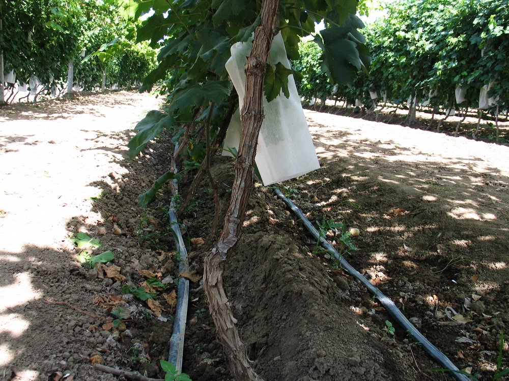 G&N HDPE pipe adhesive for hydroponic construction.