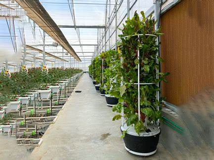 6.G AND N FORTUNE LIMITED’s tower garden hydroponics system is designed for healthy, rapid plant growth.
