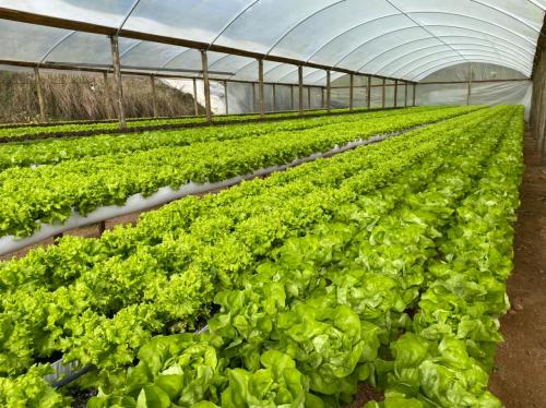 G&N’s vent system for grow tent optimizes hydro airflow