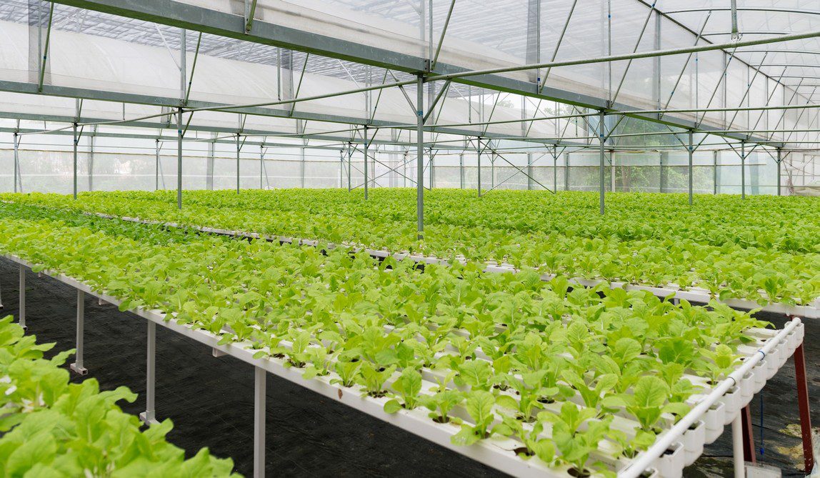 Vertical hydroponic system by G AND N FORTUNE LIMITED.